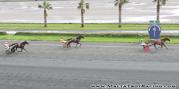 Race 5 confirmed result