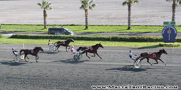 Race 5 confirmed result
