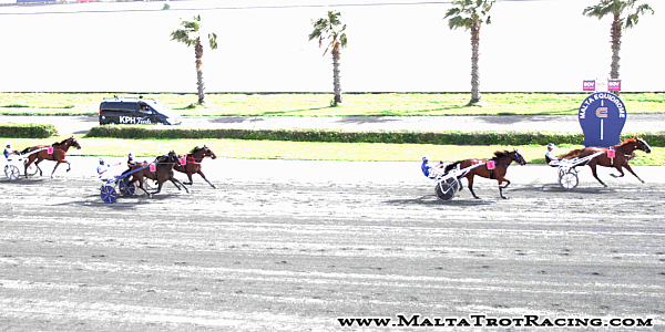 Race 5 confirmed result