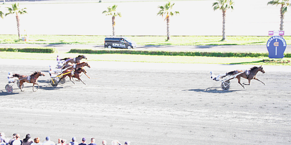 Race 7 confirmed result