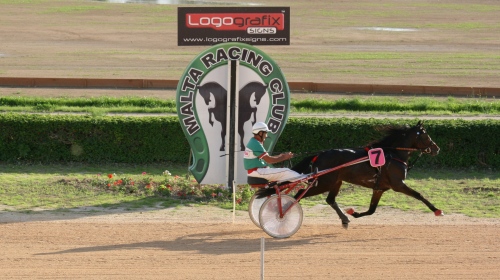 Race 5 confirmed result