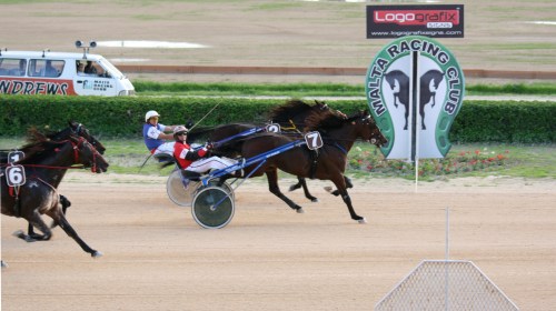 Race 7 confirmed result