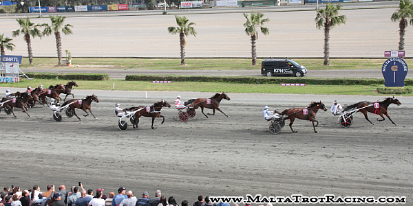 Race 7 confirmed result