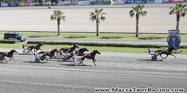 Race 7 confirmed result