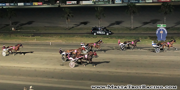 Race 5 confirmed result