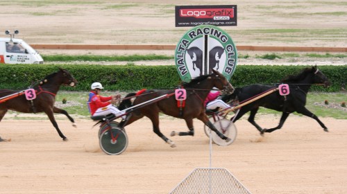 Race 5 confirmed result