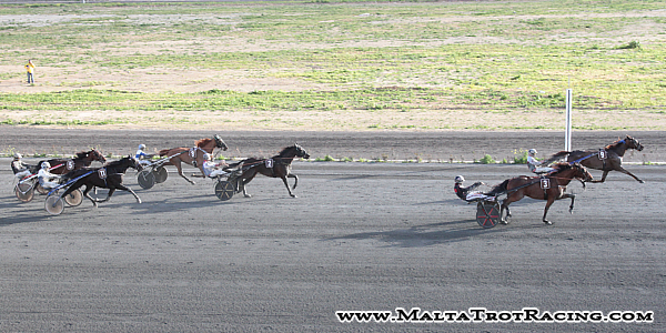 Race 7 confirmed result