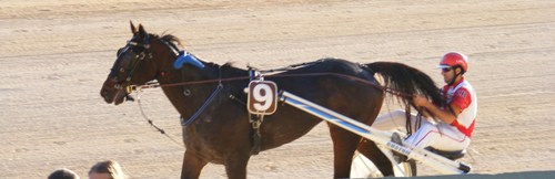 Race 7 confirmed result