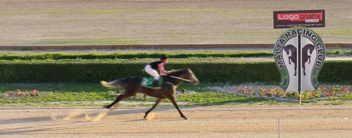 Race 8 confirmed result