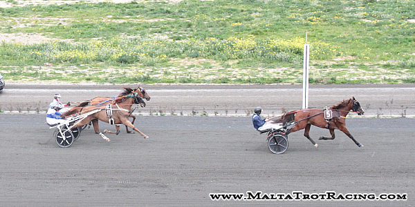 Race 7 confirmed result