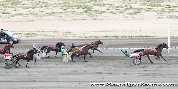 Race 5 confirmed result