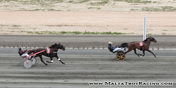 Race 8 confirmed result