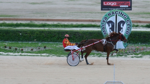 Race 7 confirmed result