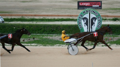 Race 8 confirmed result