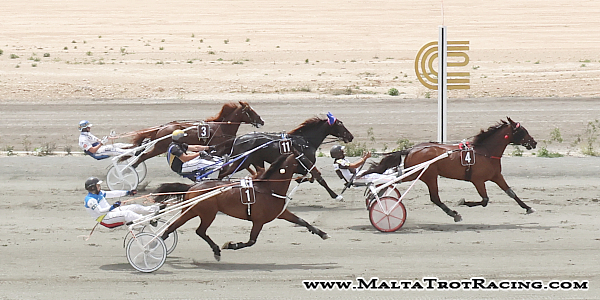 Race 7 confirmed result