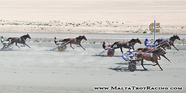 Race 7 confirmed result
