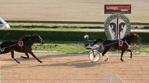 Race 5 confirmed result