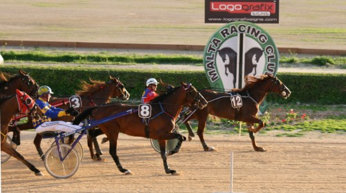 Race 7 confirmed result