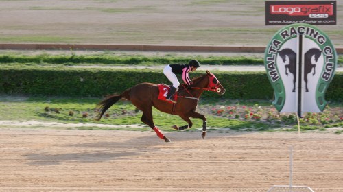 Race 4 confirmed result