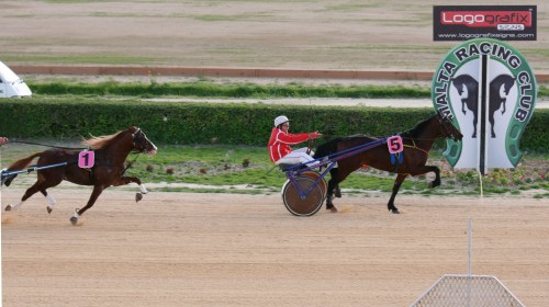 Race 5 confirmed result