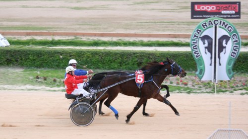 Race 8 confirmed result